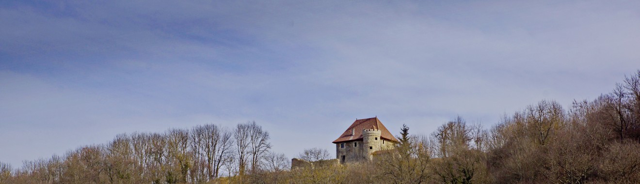 maison forte La Barre